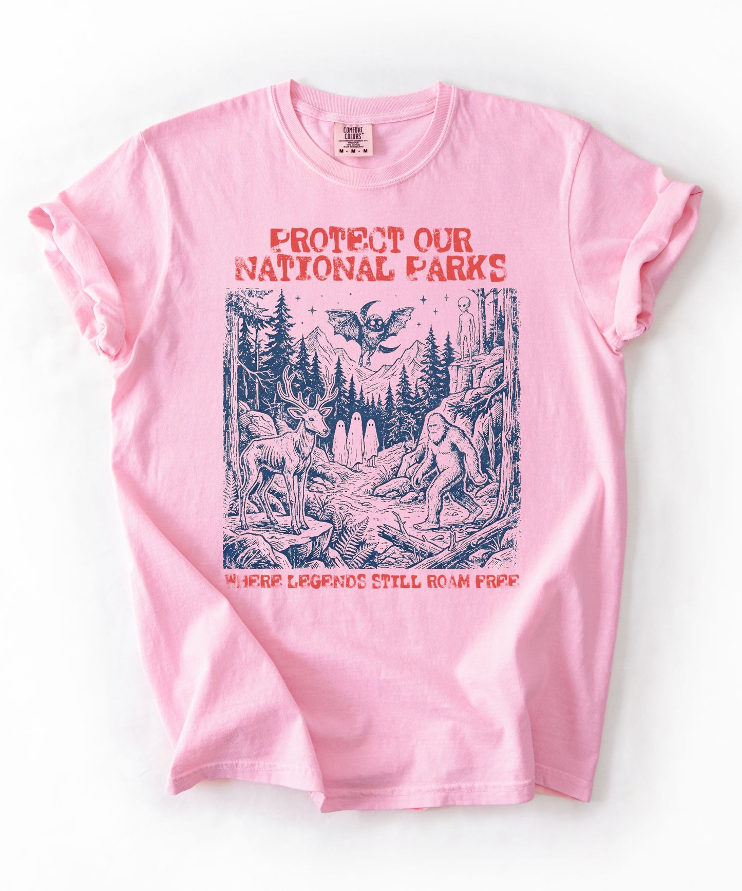 Comfort Colors® Protect Our National Parks cryptid graphic tee in Blossom — Bigfoot, Mothman, aliens, ghosts wilderness scene, flat lay