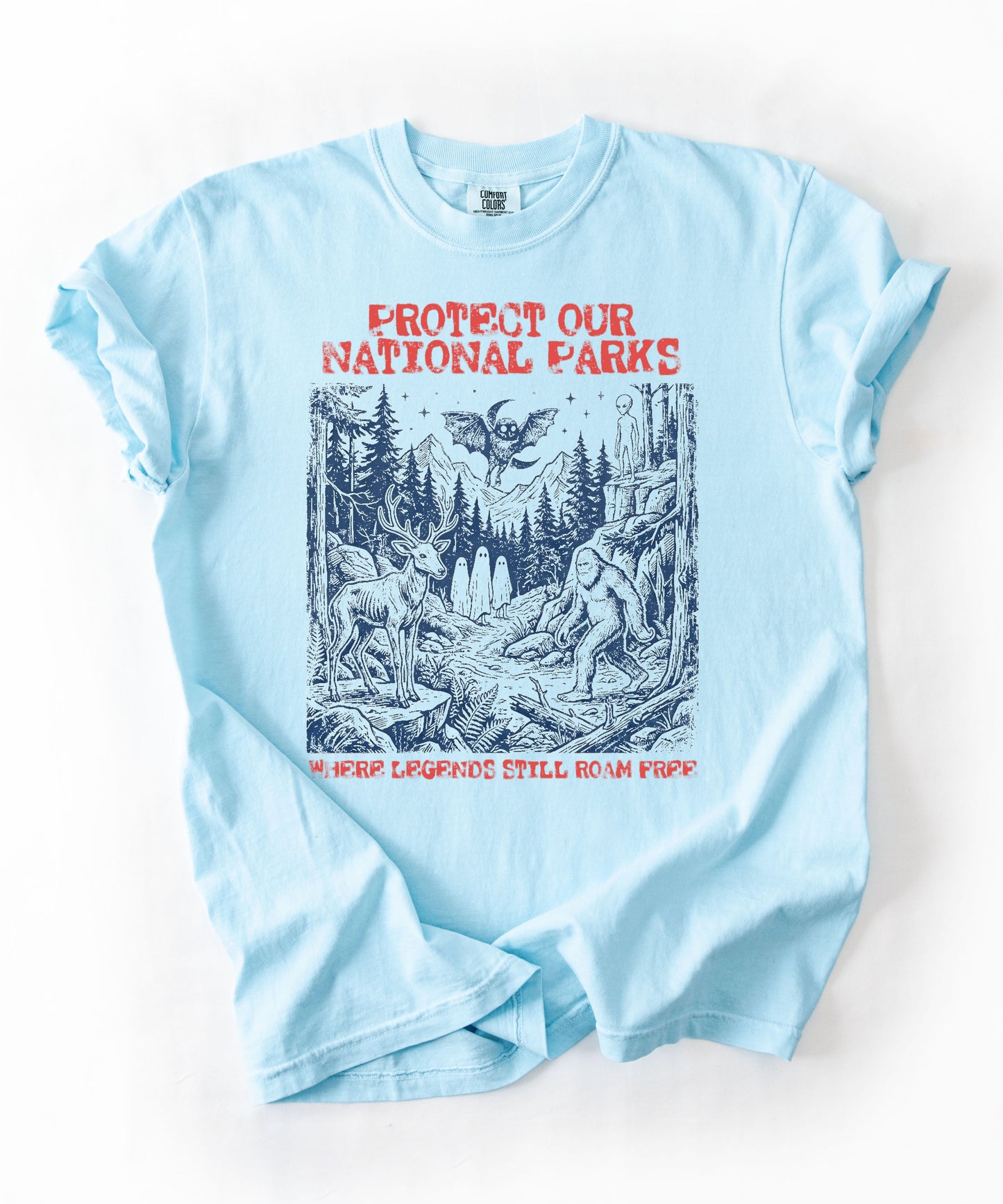 Comfort Colors® Protect Our National Parks cryptid graphic tee in Chambray— Bigfoot, Mothman, aliens, ghosts wilderness scene, flat lay