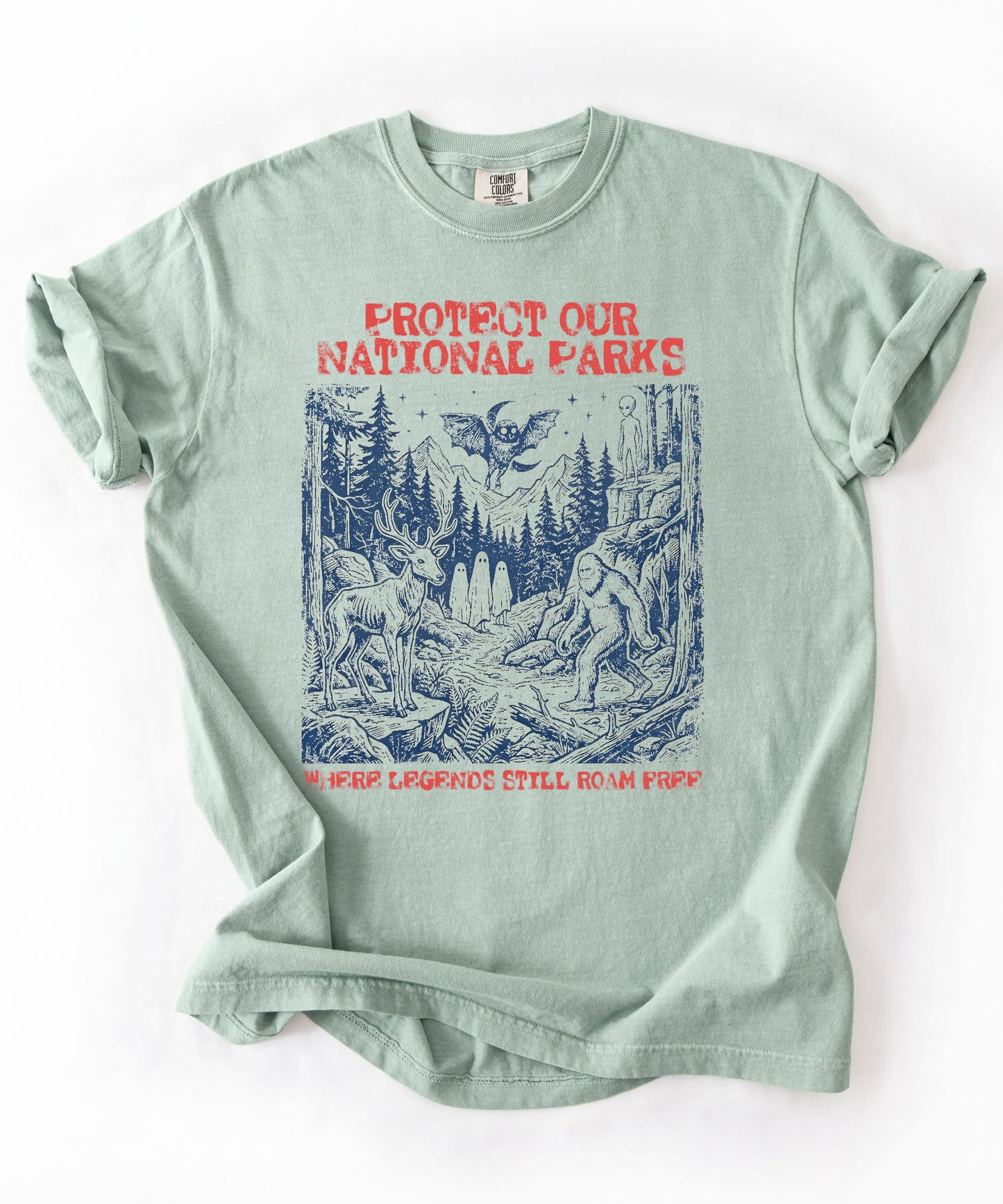 Comfort Colors® Protect Our National Parks cryptid graphic tee in Bay — Bigfoot, Mothman, aliens, ghosts wilderness scene, flat lay