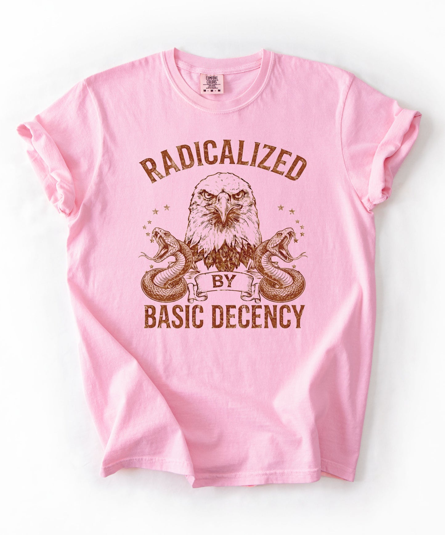 Radicalized by Basic Decency Blossom garment-dyed graphic tee — eagle and snake vintage design, Comfort Colors 1717