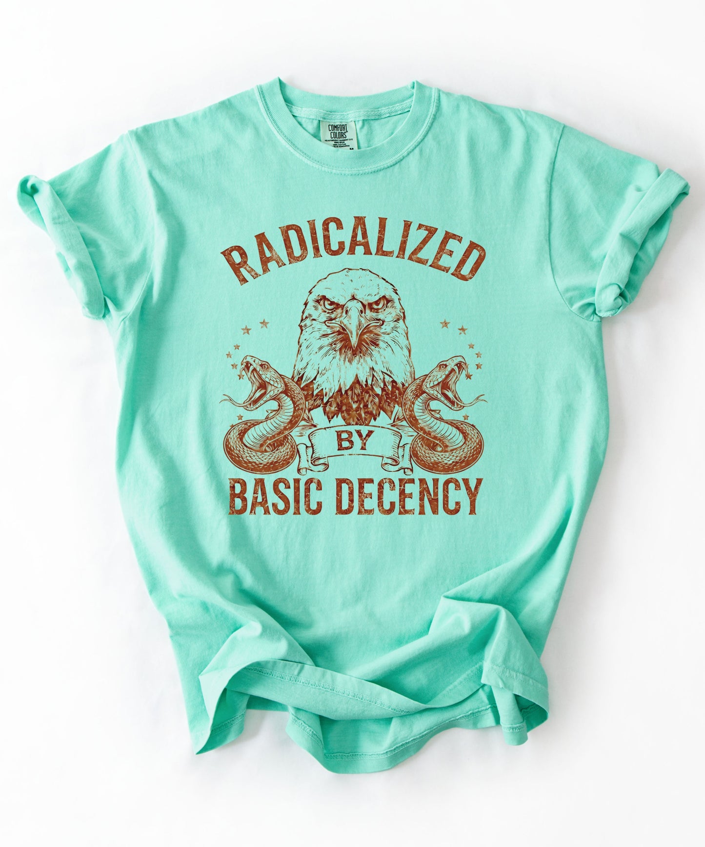 Radicalized by Basic Decency Island Reef garment-dyed graphic tee — eagle and snake vintage design, Comfort Colors 1717