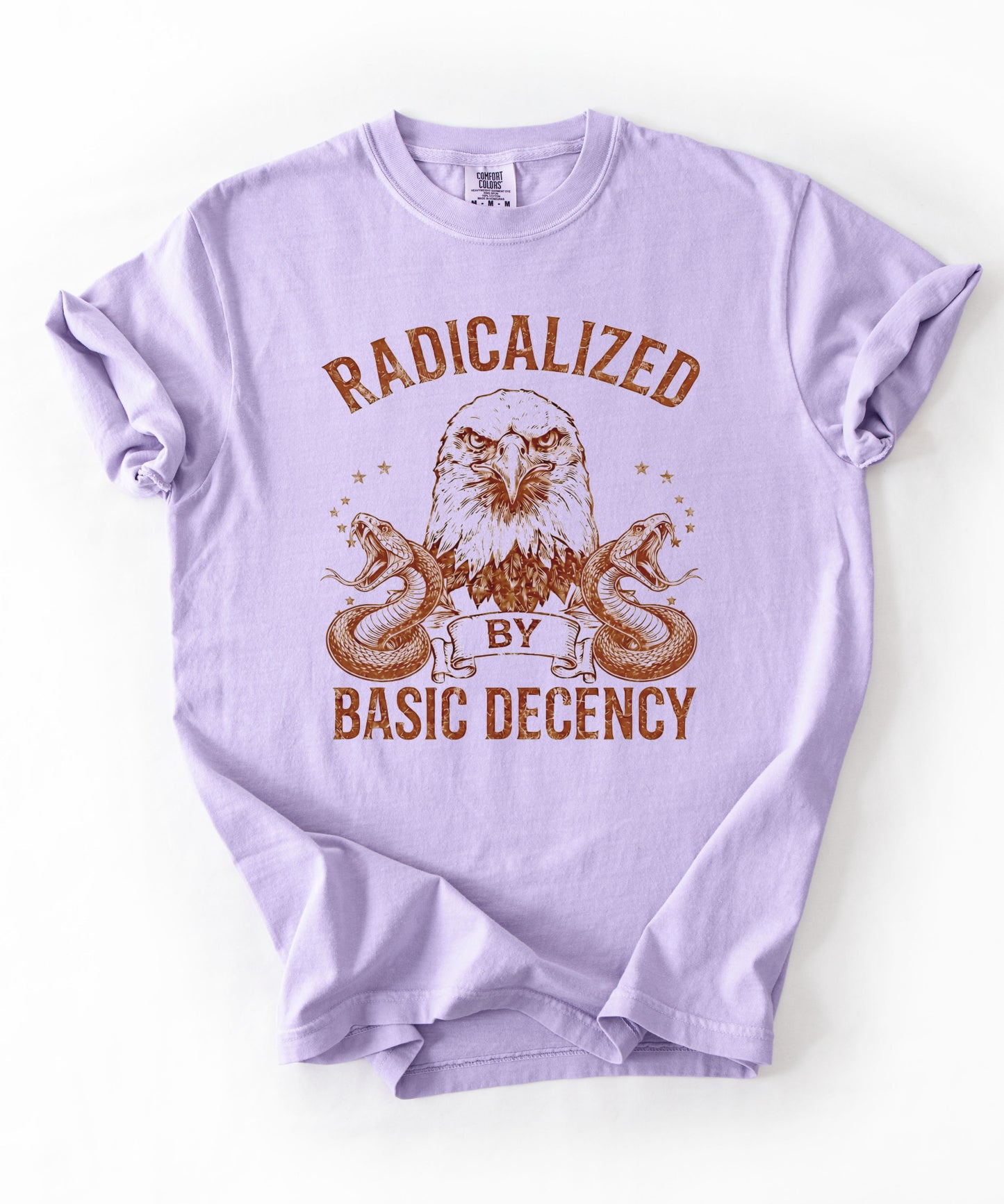 Radicalized by Basic Decency Orchid garment-dyed graphic tee — eagle and snake vintage design, Comfort Colors 1717