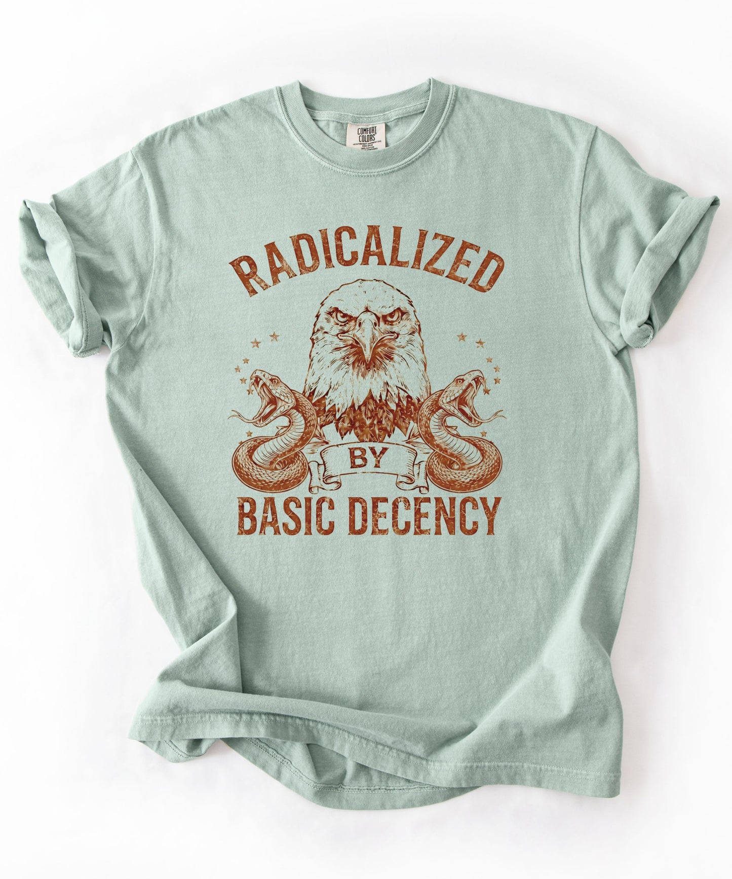 Radicalized by Basic Decency Bay garment-dyed graphic tee — eagle and snake vintage design, Comfort Colors 1717