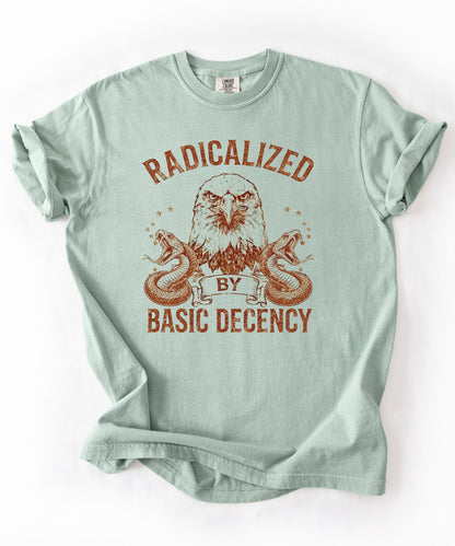 Radicalized by Basic Decency Bay garment-dyed graphic tee — eagle and snake vintage design, Comfort Colors 1717