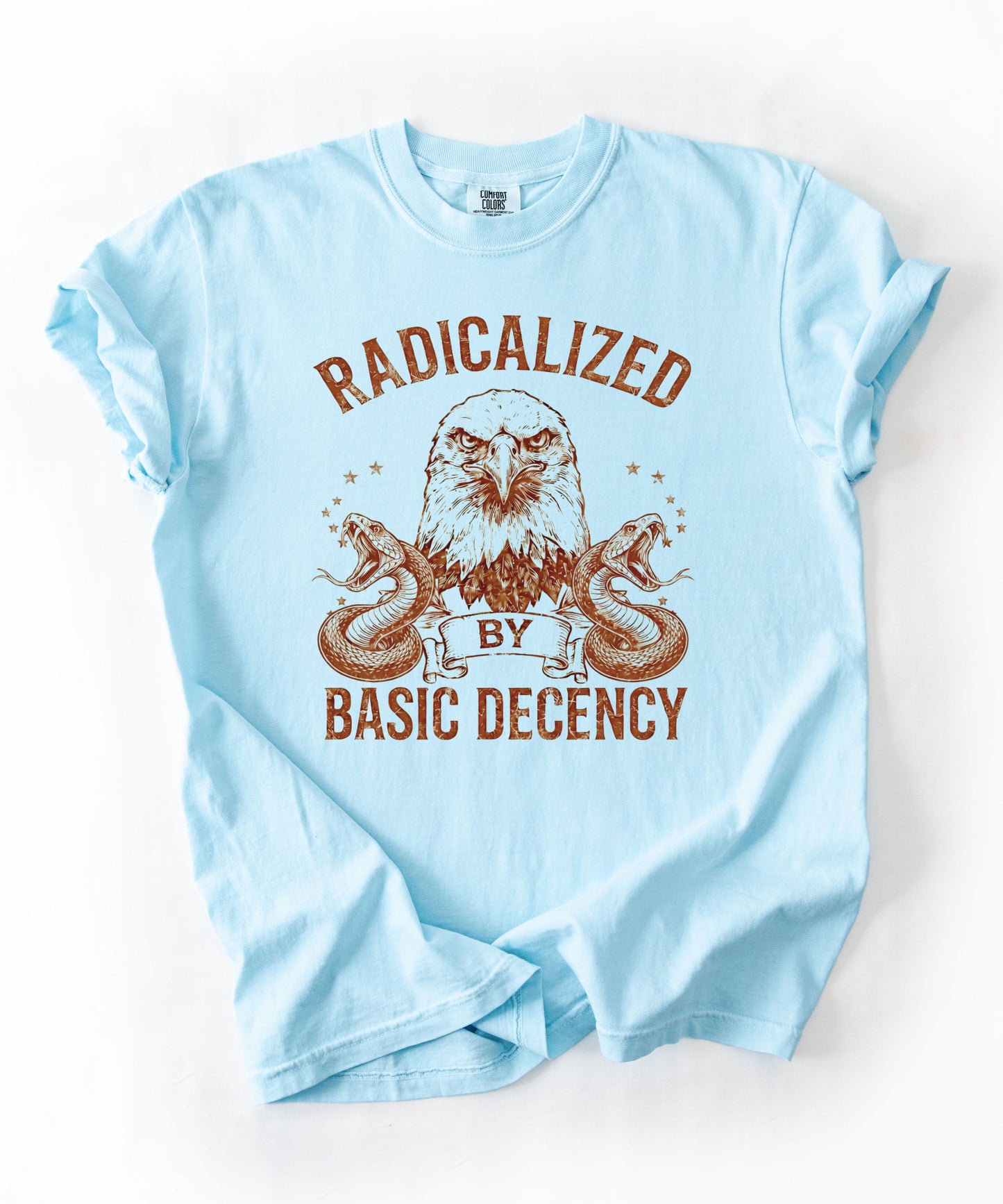 Radicalized by Basic Decency Chambray garment-dyed graphic tee — eagle and snake vintage design, Comfort Colors 1717