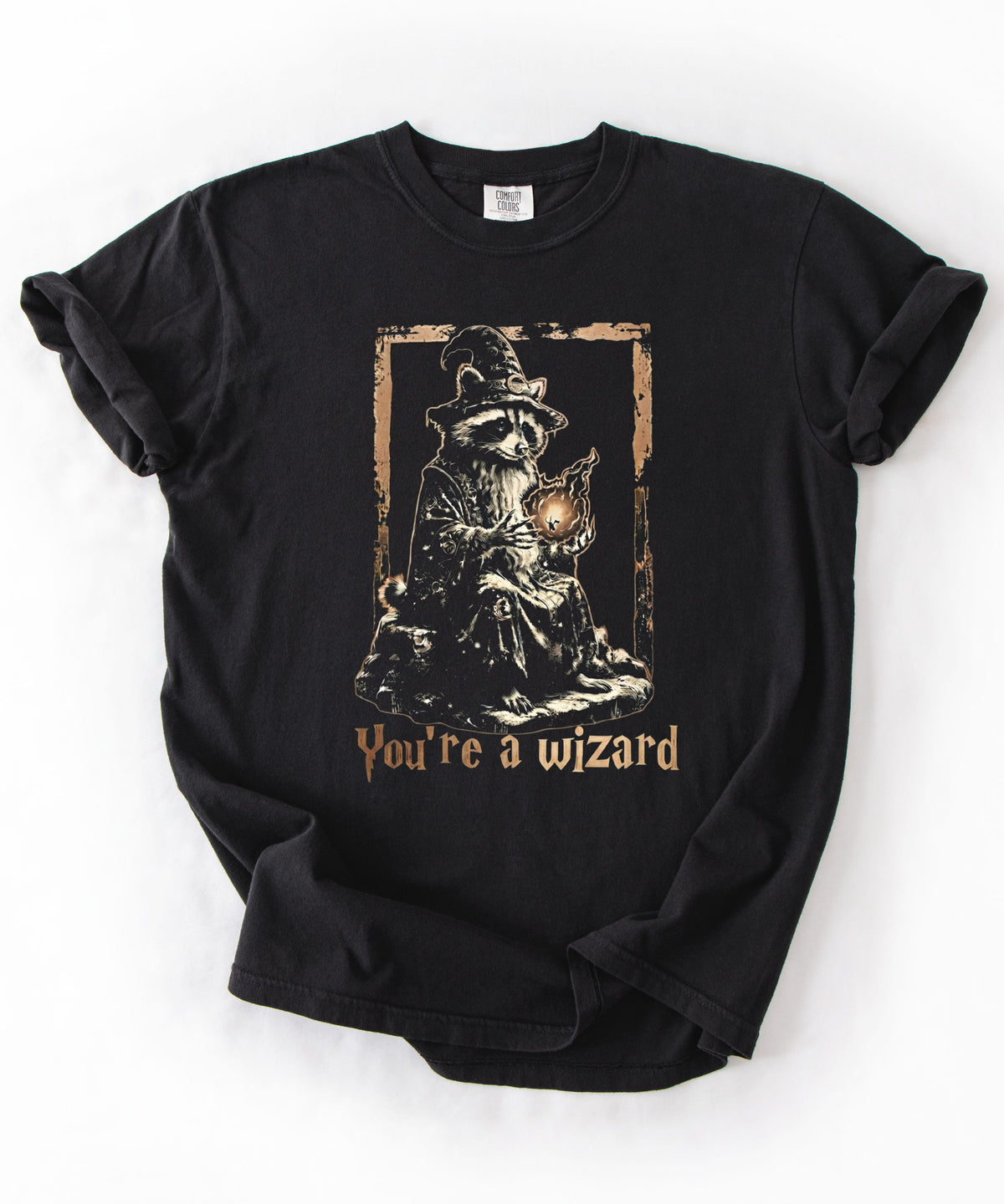 Funny wizard raccoon graphic tee in black, vintage engraving style with "You're a Wizard Harry" text