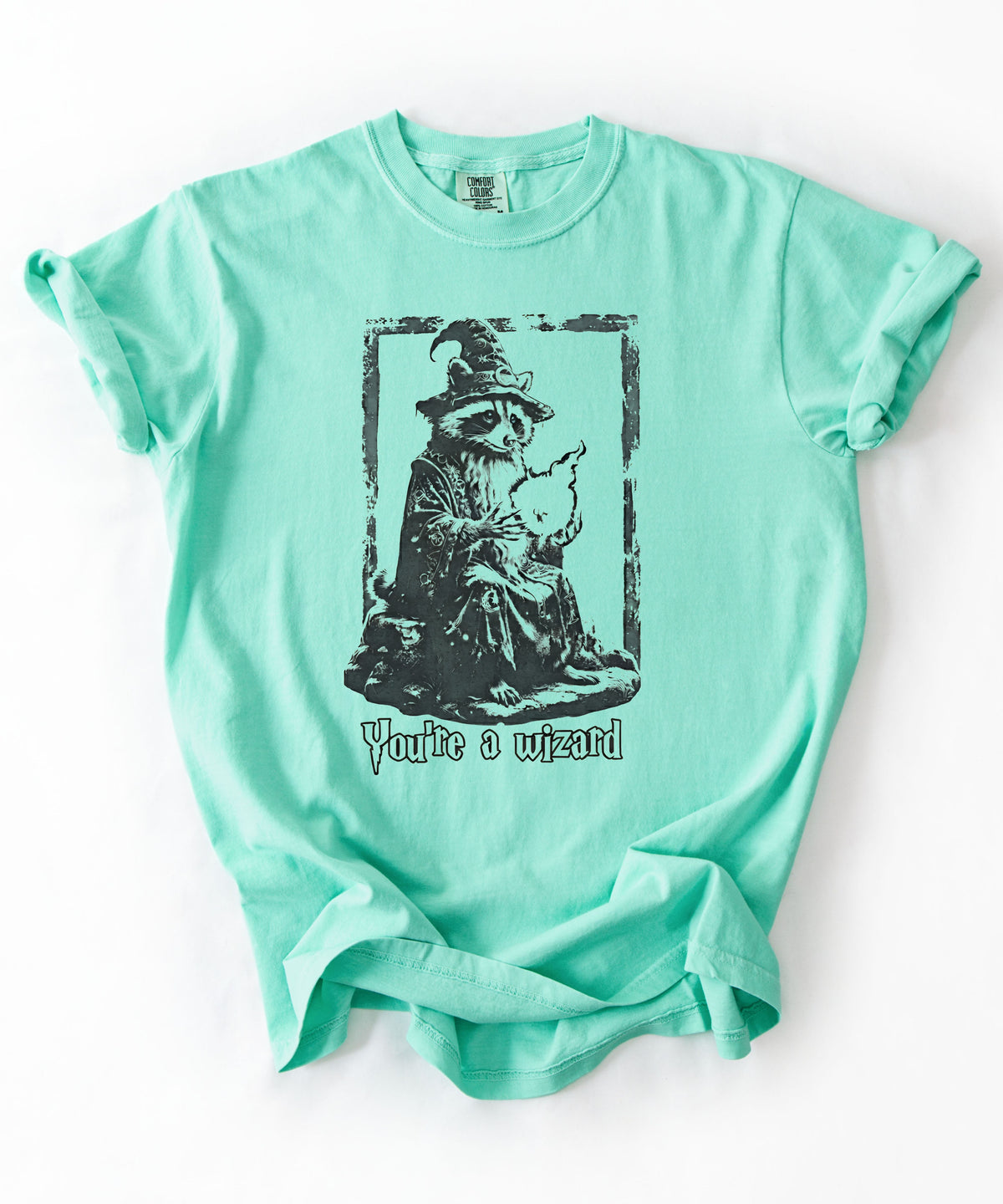 Funny wizard raccoon graphic tee in Island Reef, vintage engraving style with "You're a Wizard Harry" text