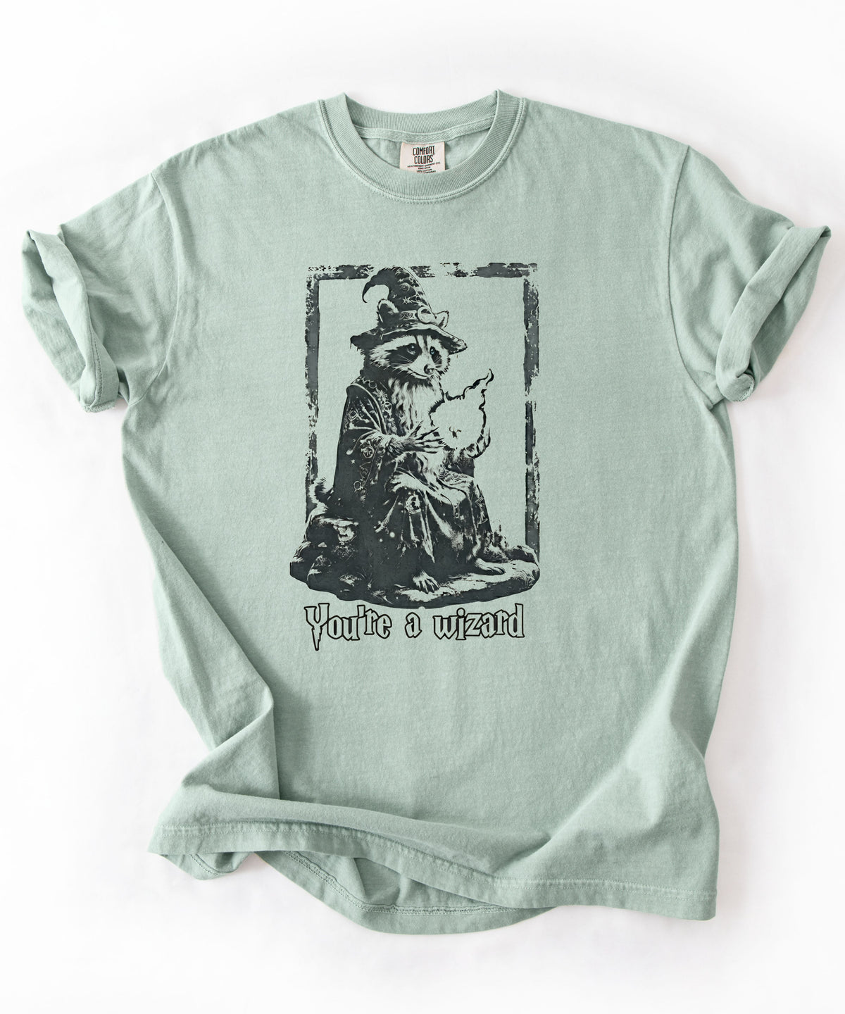 Funny wizard raccoon graphic tee in Bay, vintage engraving style with "You're a Wizard Harry" text