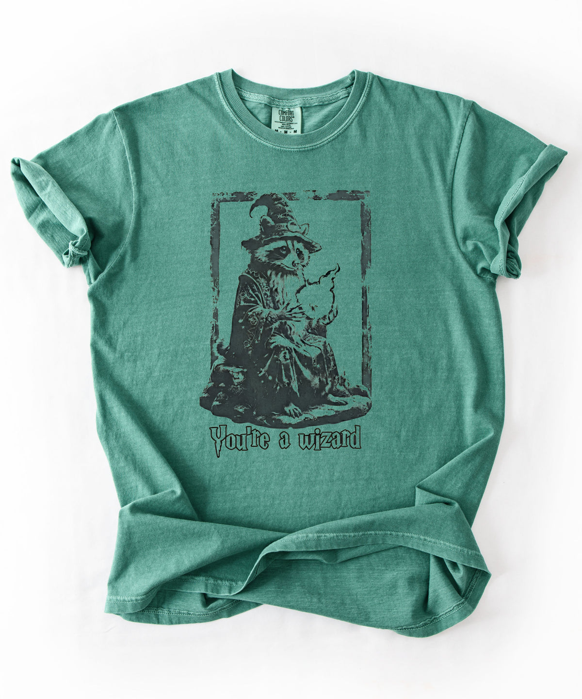 Funny wizard raccoon graphic tee in Light Green, vintage engraving style with "You're a Wizard Harry" text