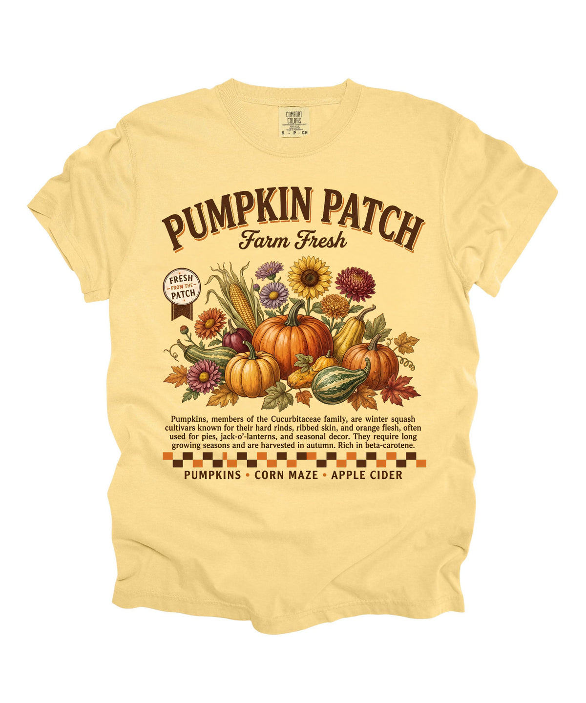 Farm fresh pumpkin patch graphic tee in Butter — heavyweight garment-dyed cotton t-shirt