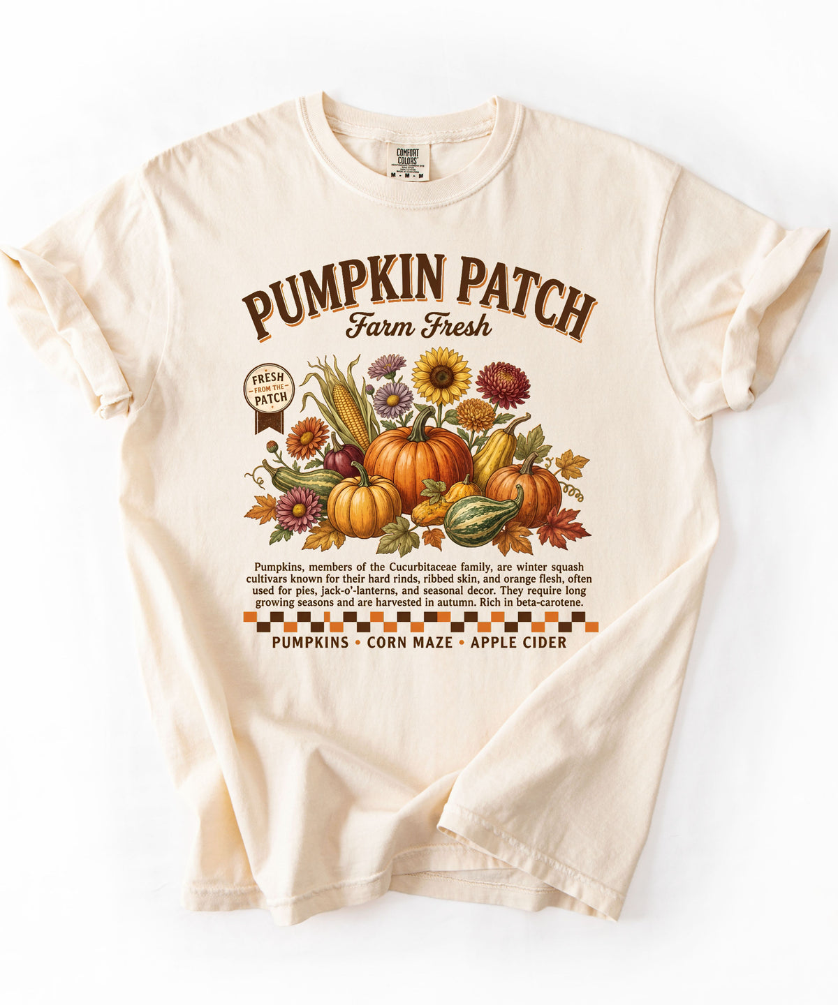 Farm fresh pumpkin patch graphic tee in Ivory — heavyweight garment-dyed cotton t-shirt
