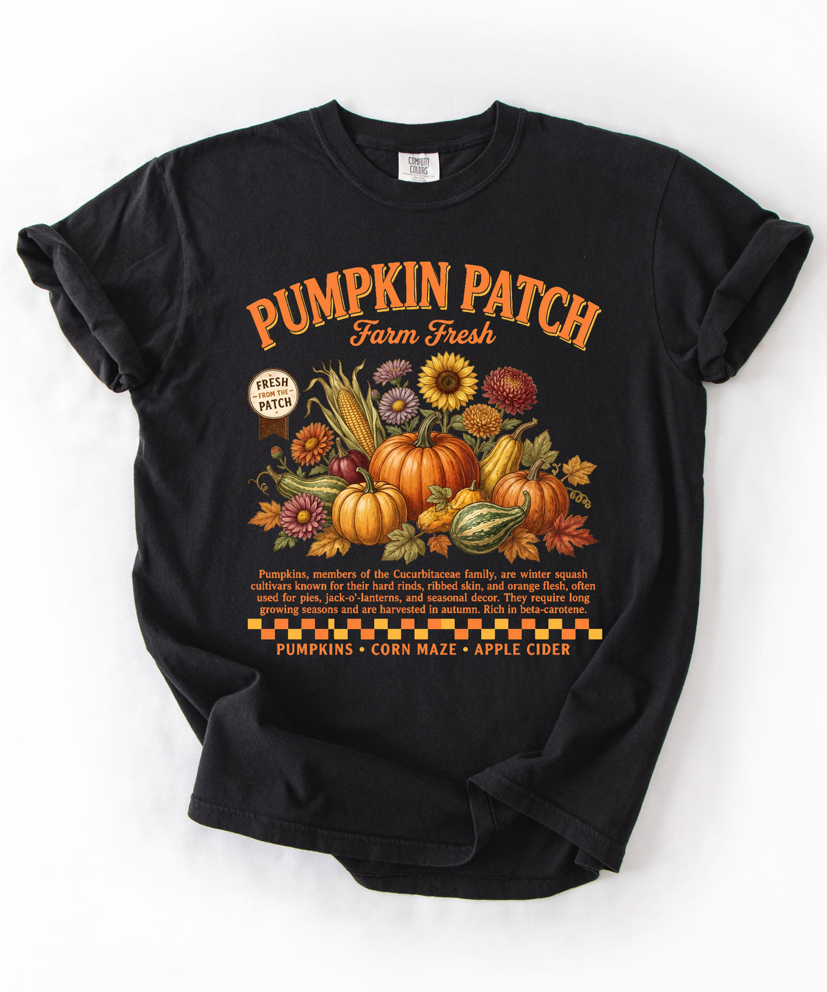 Farm fresh pumpkin patch graphic tee in Black — heavyweight garment-dyed cotton t-shirt
