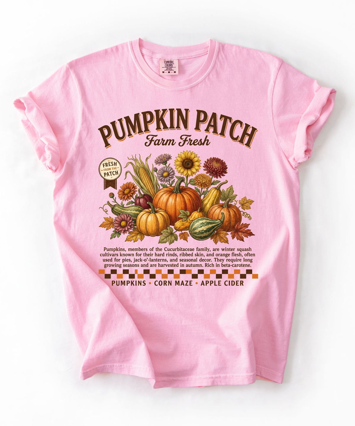 Farm fresh pumpkin patch graphic tee in Blossom — heavyweight garment-dyed cotton t-shirt