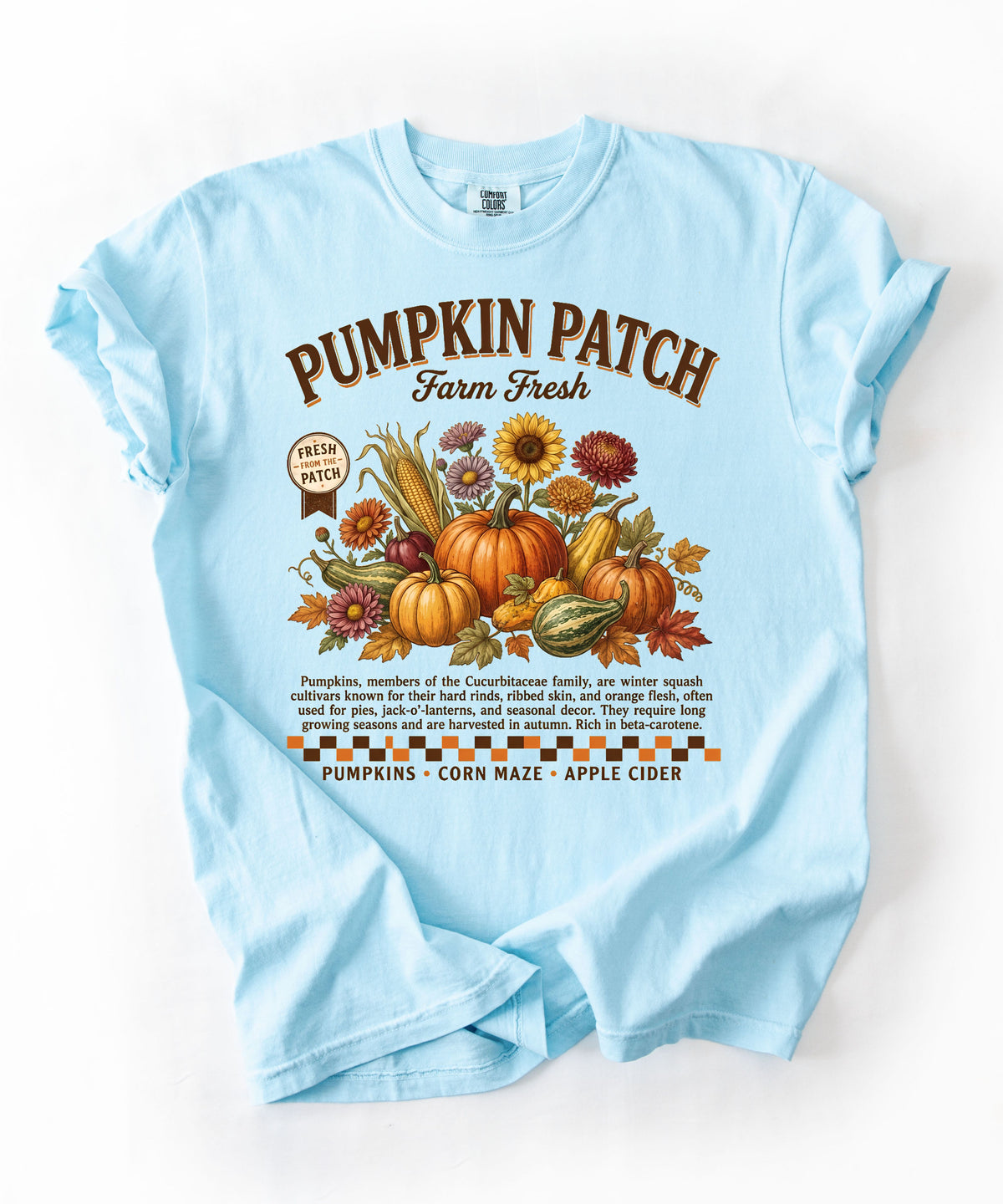 Farm fresh pumpkin patch graphic tee in Chmabray — heavyweight garment-dyed cotton t-shirt