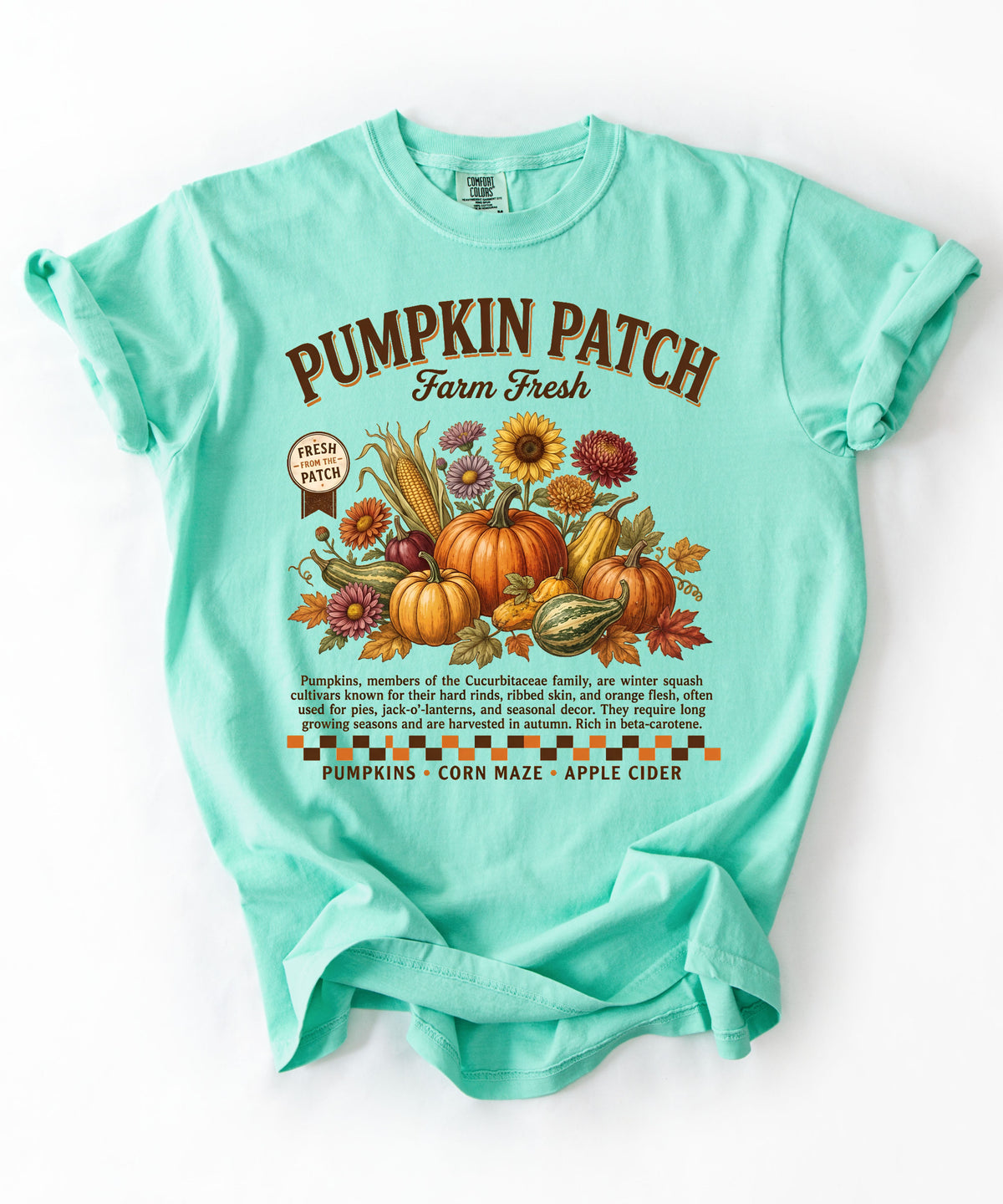 Farm fresh pumpkin patch graphic tee in Island Reef — heavyweight garment-dyed cotton t-shirt