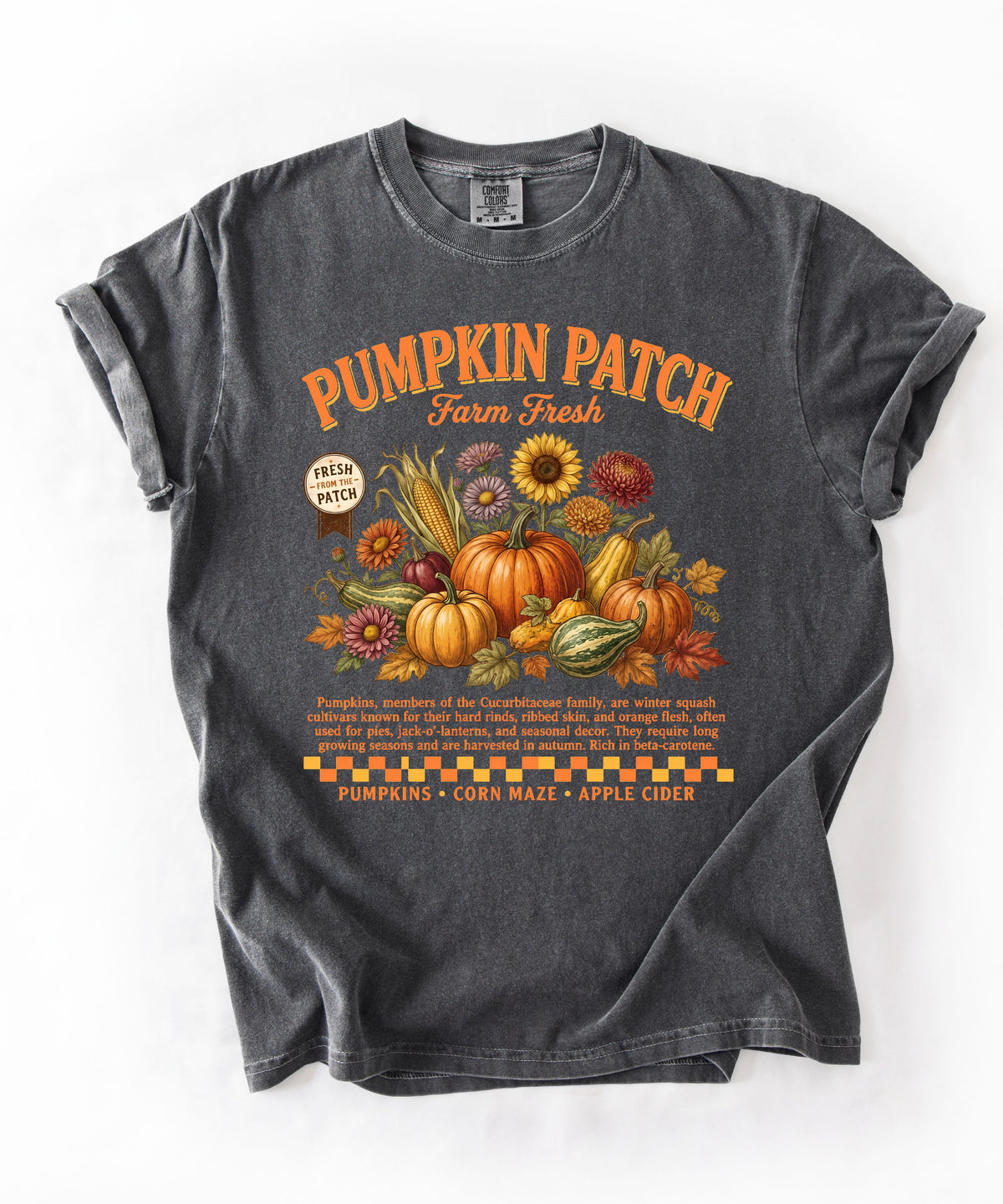 Farm fresh pumpkin patch graphic tee in Pepper — heavyweight garment-dyed cotton t-shirt