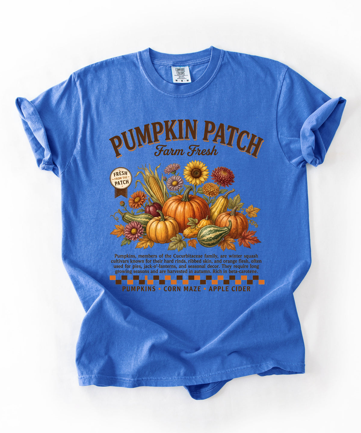 Farm fresh pumpkin patch graphic tee in Flo Blue— heavyweight garment-dyed cotton t-shirt