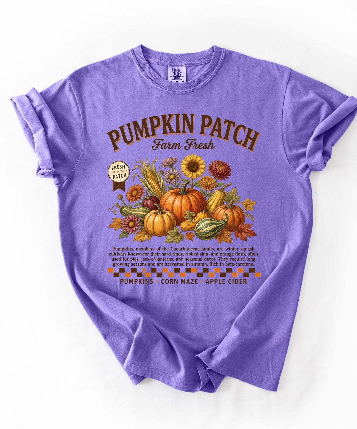 Farm fresh pumpkin patch graphic tee in Violet — heavyweight garment-dyed cotton t-shirt