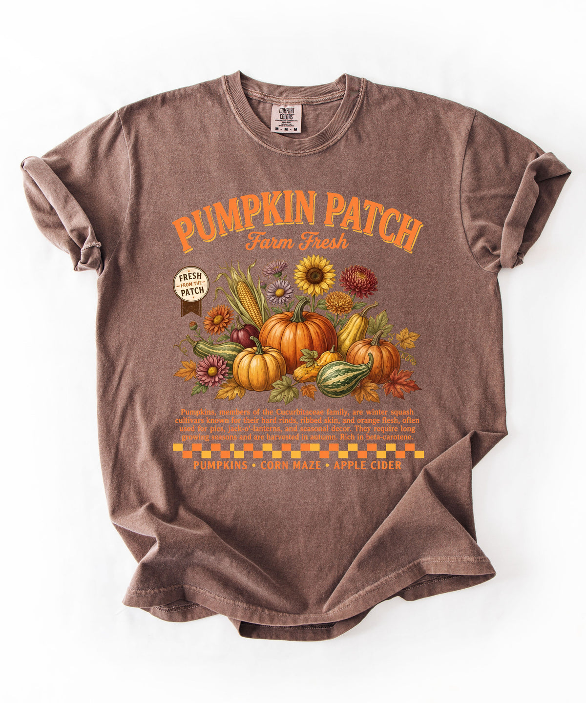 Farm fresh pumpkin patch graphic tee in Espresso — heavyweight garment-dyed cotton t-shirt