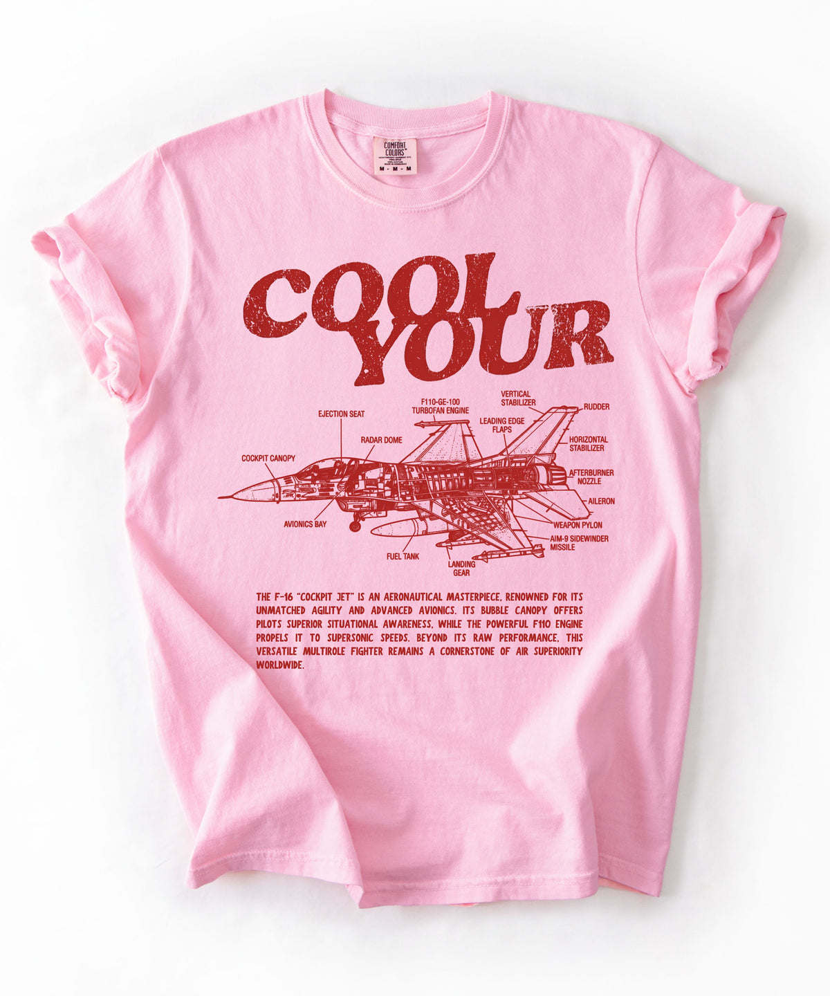 Cool your jets aviation graphic tee in Blossom — vintage F-16 diagram shirt by GodaStudio