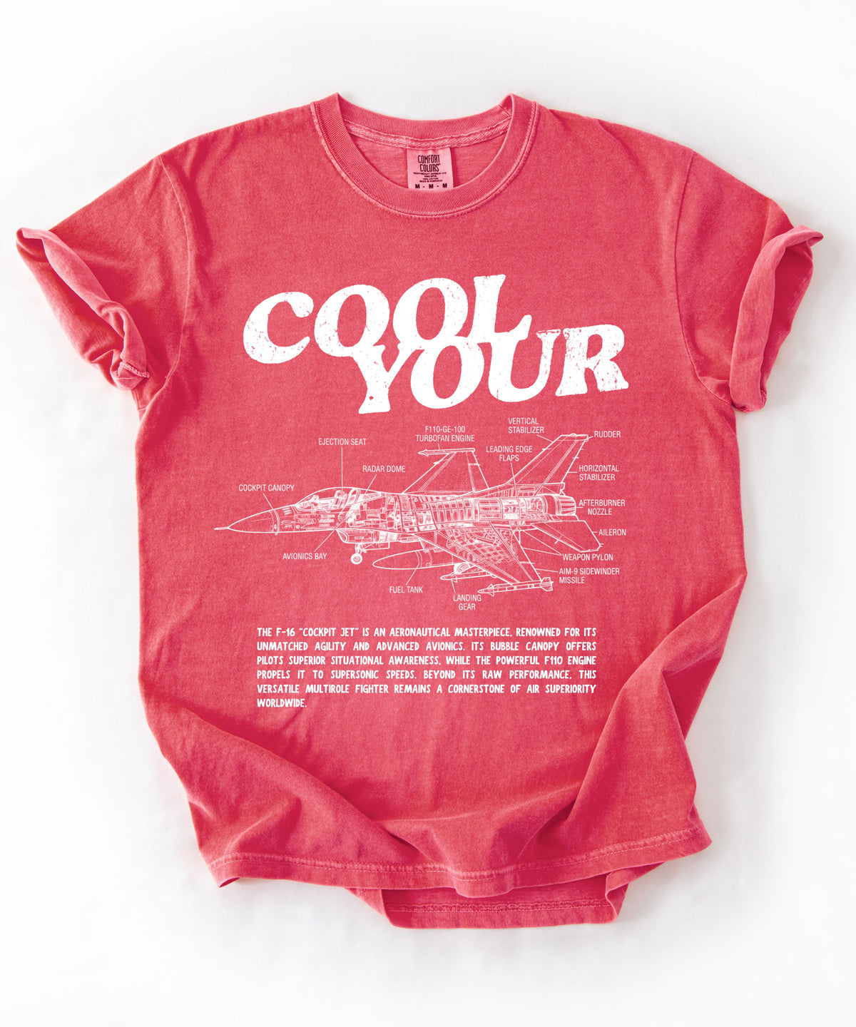 Cool your jets aviation graphic tee in Watermelon — vintage F-16 diagram shirt by GodaStudio
