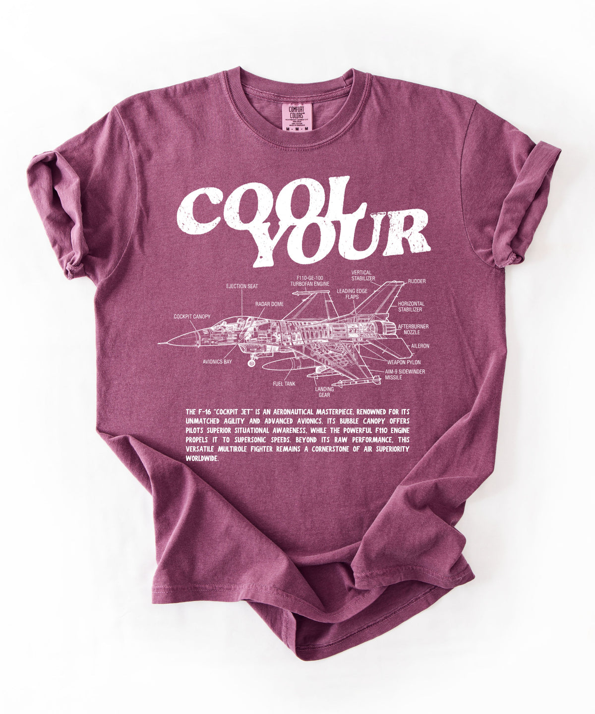 Cool your jets aviation graphic tee in Berry — vintage F-16 diagram shirt by GodaStudio