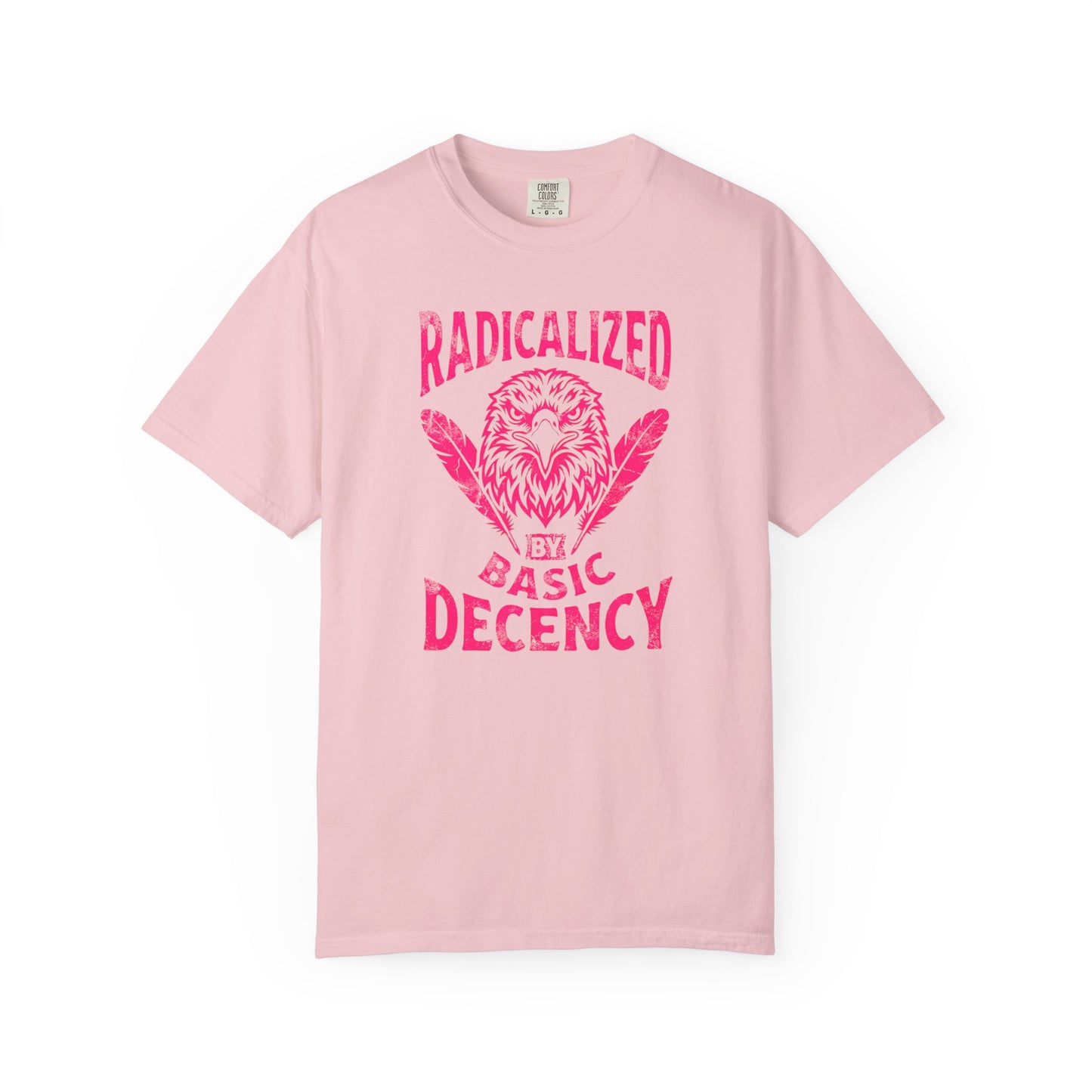 Radicalized by Basic Decency T-Shirt in Blossom — vintage Americana eagle protest graphic tee, garment dyed