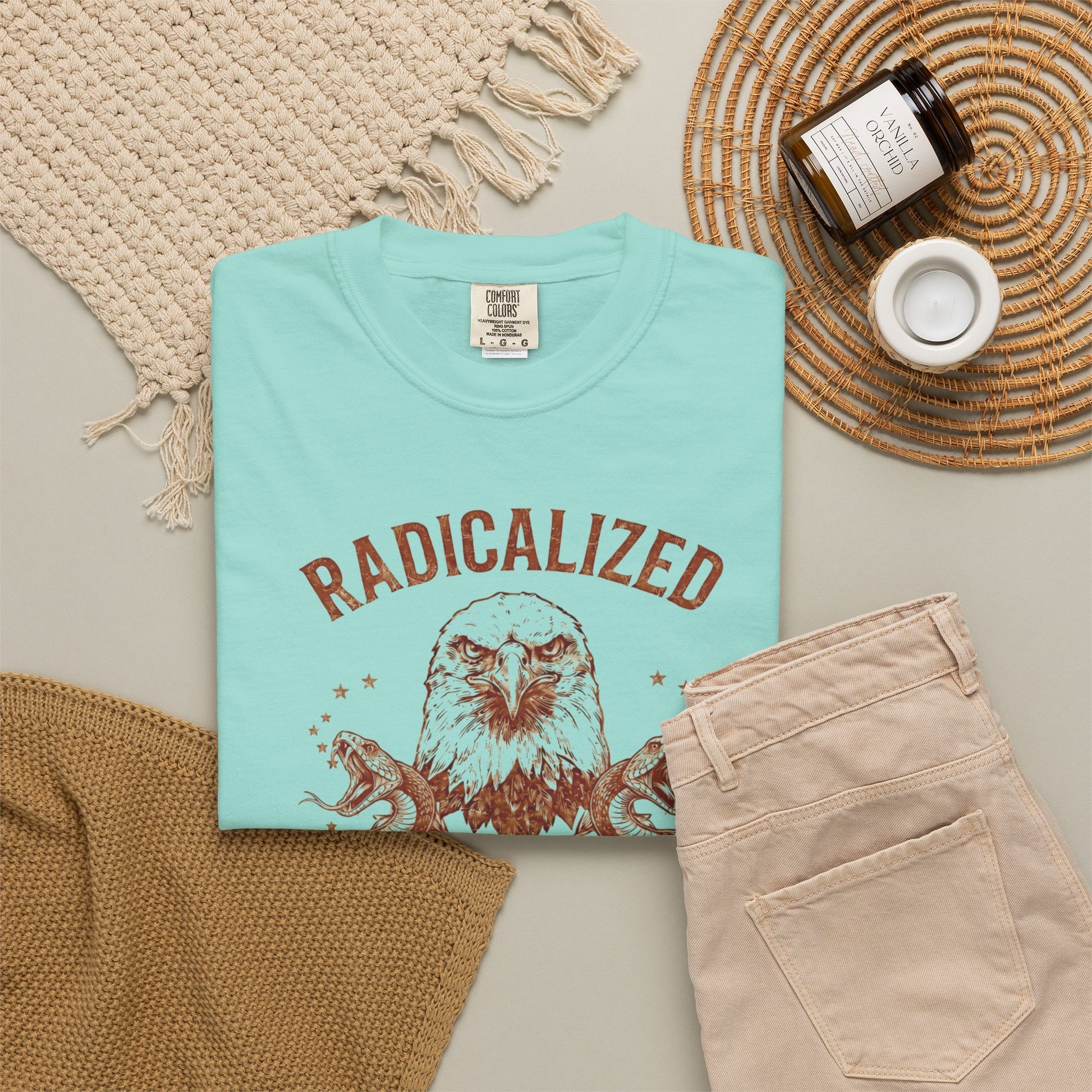 Radicalized by Basic Decency Chalky Mint garment-dyed graphic tee — eagle and snake vintage design, Comfort Colors 1717