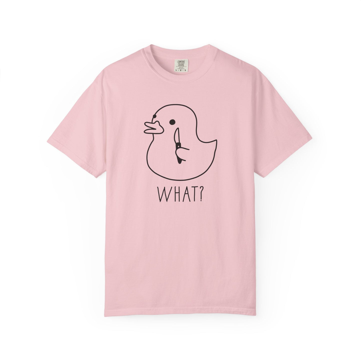 Silly Goose WHAT? Graphic T-Shirt in BLOSSOM — funny garment dyed goose meme tee