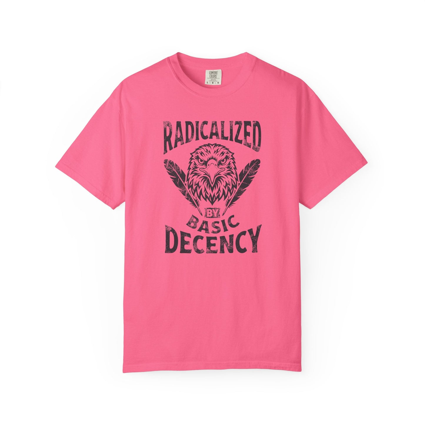 Radicalized by Basic Decency T-Shirt in Crunchberry — vintage Americana eagle protest graphic tee, garment dyed