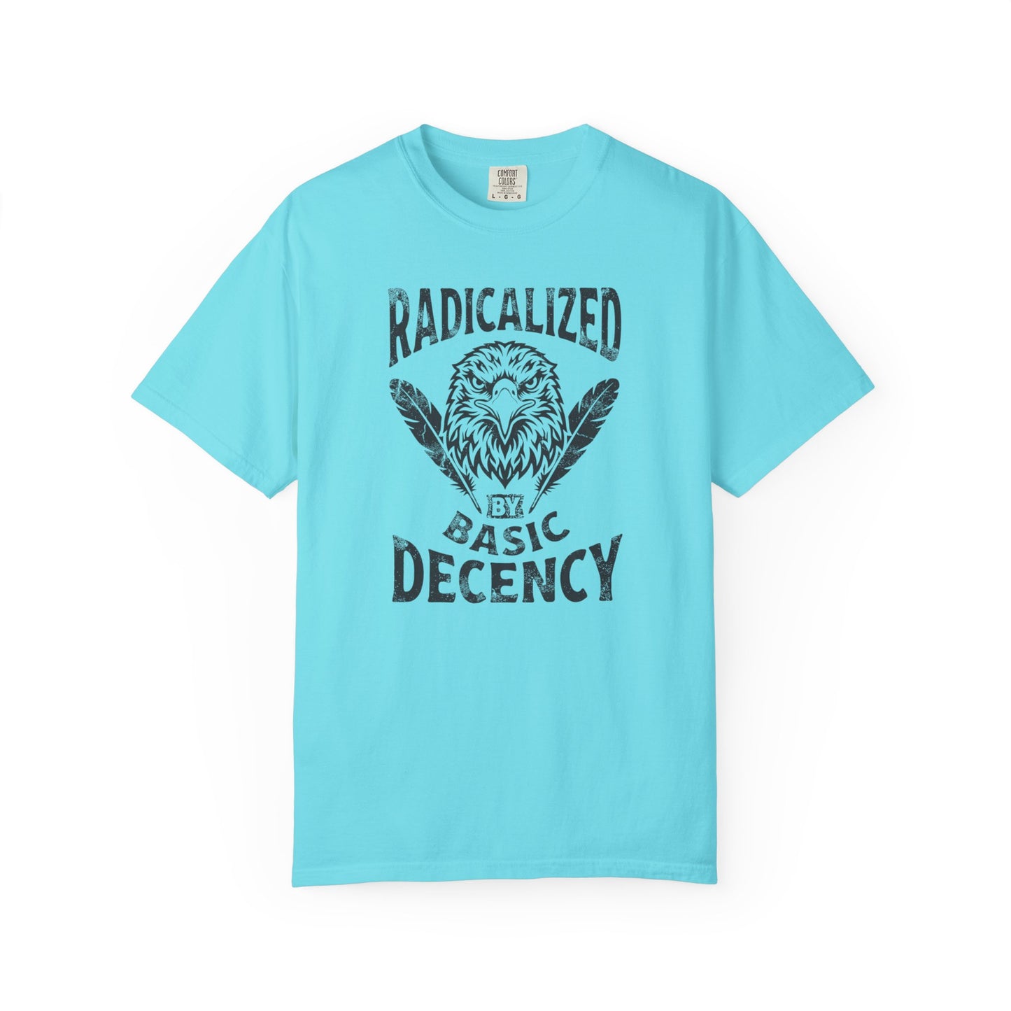 Radicalized by Basic Decency T-Shirt in Lagoon Blue — vintage Americana eagle protest graphic tee, garment dyed