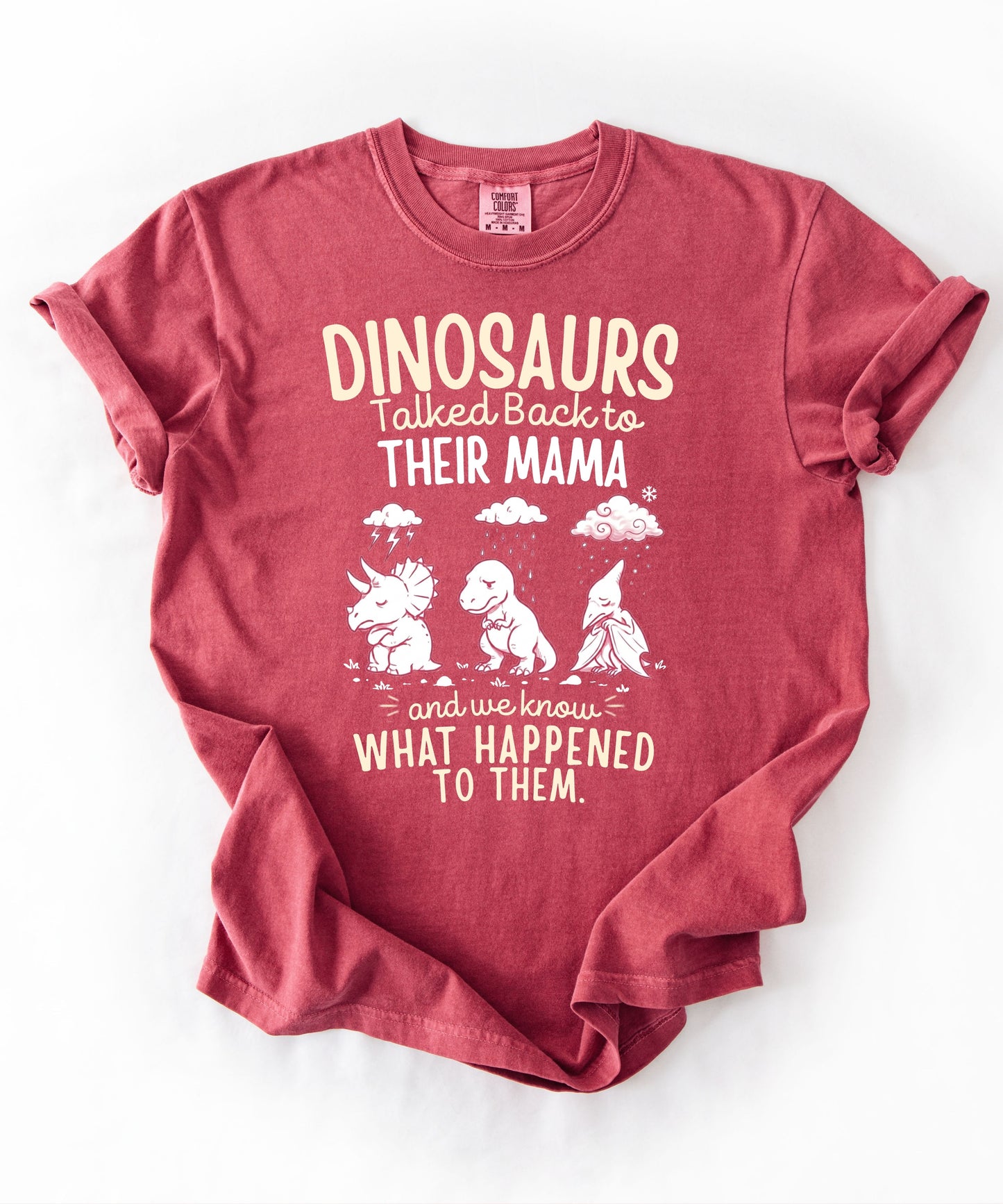 Crimson Color Funny dinosaur graphic tee featuring retro dino illustration with phrase "Dinosaurs talked back to their mama and we know what happened to them" — front view on garment-dyed cotton